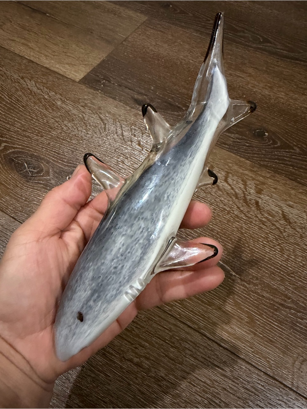 Dynasty gallery shark glass - Picture 5 of 10